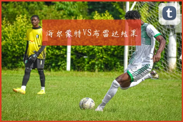 海尔蒙特VS布雷达结果