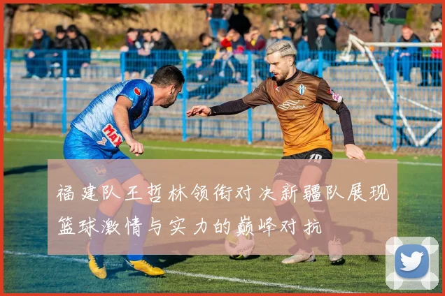 福建队王哲林领衔对决新疆队展现篮球激情与实力的巅峰对抗