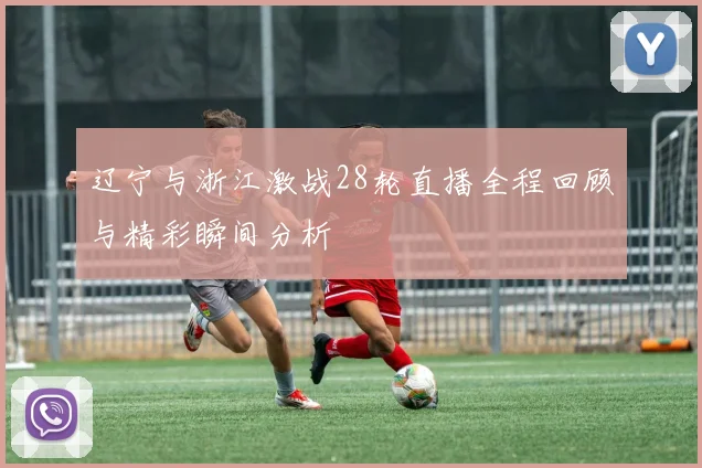 辽宁与浙江激战28轮直播全程回顾与精彩瞬间分析