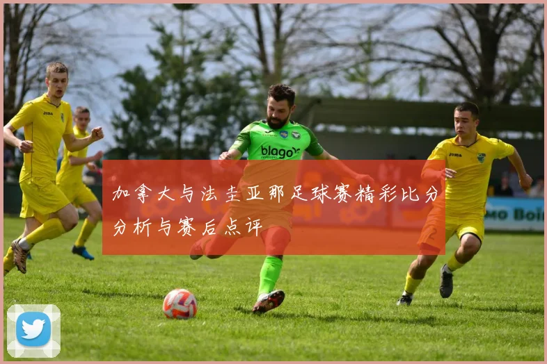 加拿大与法圭亚那足球赛精彩比分分析与赛后点评