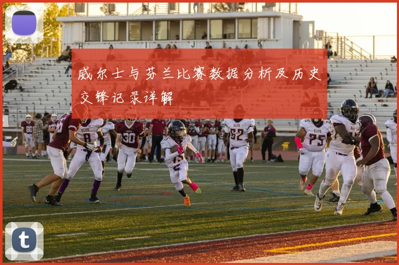 威尔士与芬兰比赛数据分析及历史交锋记录详解