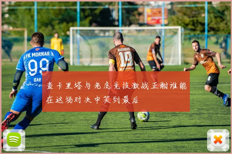 查卡里塔与老虎竞技激战正酣谁能在这场对决中笑到最后